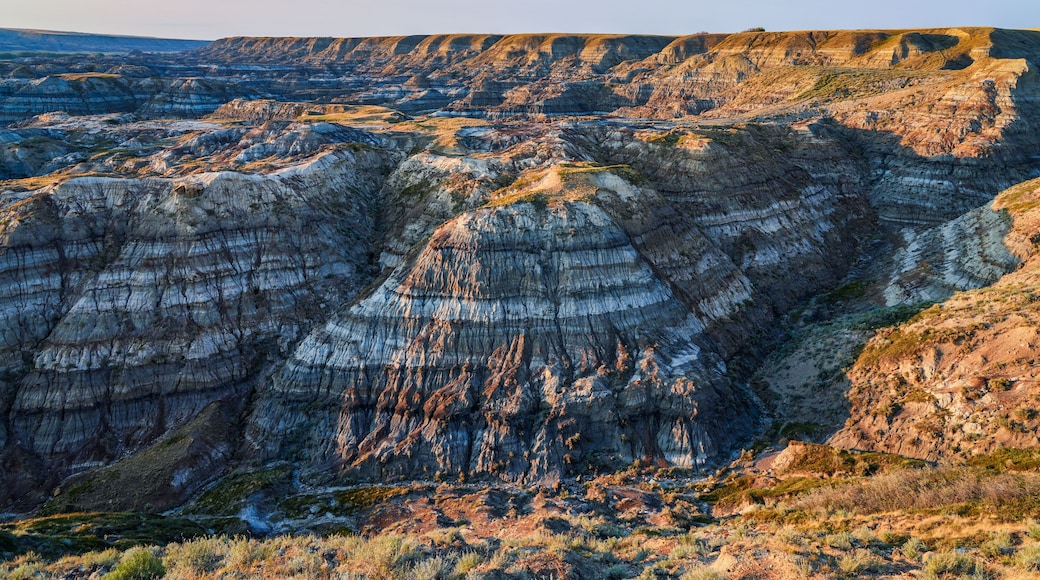 Horsethief Canyon, a stratigraphic unit of the Western Canada Sedimentary Basin near Drumheller, Alberta - It is composed of mud stone, sandstone, carbonaceous shales, and coal seams