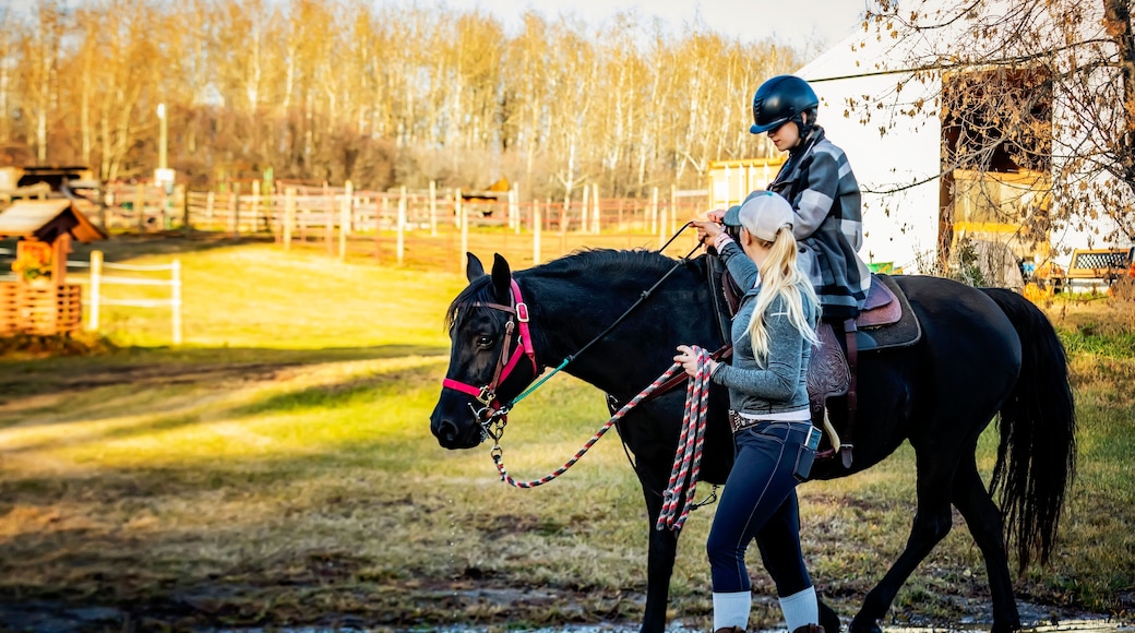 A young girl with Cerebral Palsy and her trainer working with a horse during a Hippotherapy session; Westlock, Alberta, Canada