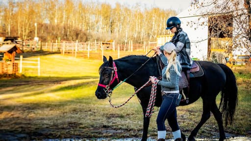 A young girl with Cerebral Palsy and her trainer working with a horse during a Hippotherapy session; Westlock, Alberta, Canada