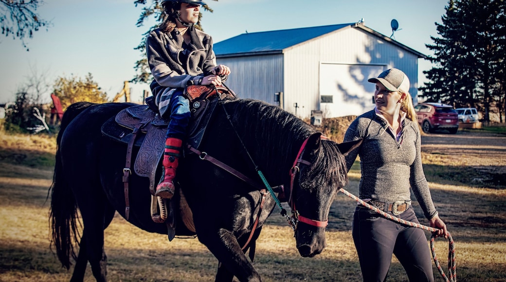 A young girl with Cerebral Palsy and her trainer working with a horse during a Hippotherapy session; Westlock, Alberta, Canada