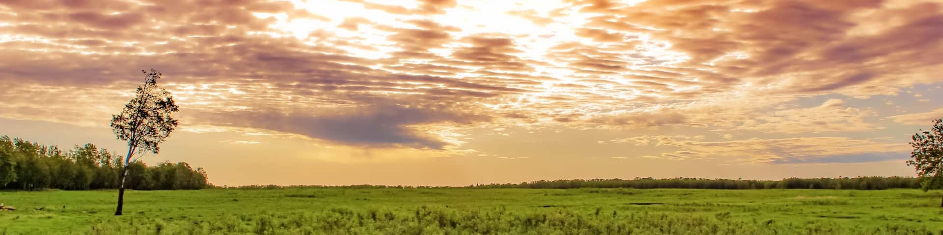 Morning Sunrise