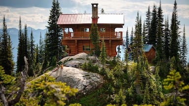 The Grizzly Hut.
A place I wasn't sure was real until I saw it with my own eyes. A place I still can't believe is real.
#adventure