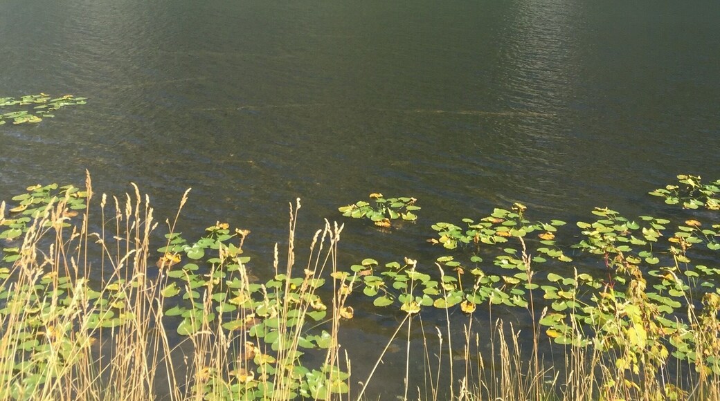 Great Fishing and Relaxation