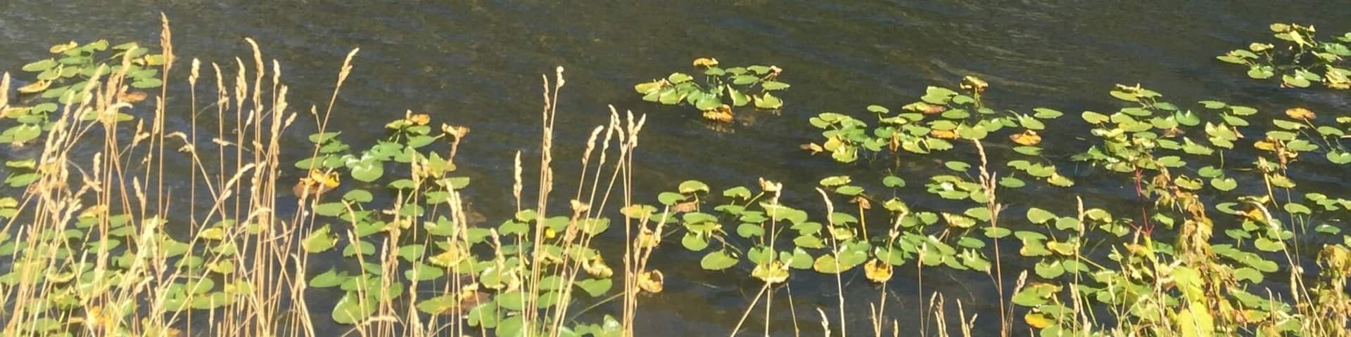 Great Fishing and Relaxation