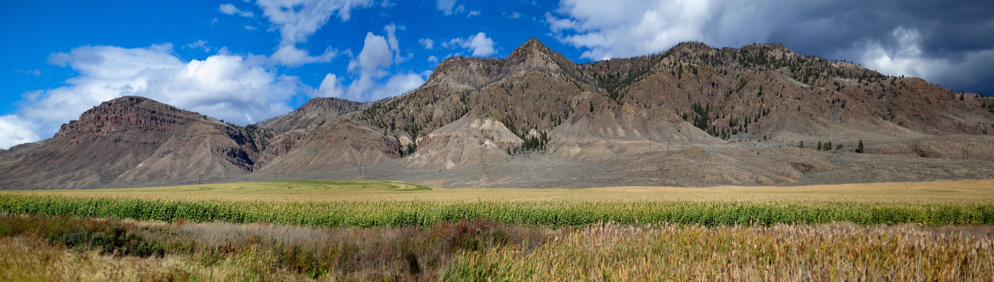 Rugged mountain range and field in the foreground in the BC interior of Canada along Highway 1, west of Kamloops towards Cache Creek; British Columbia, Canada