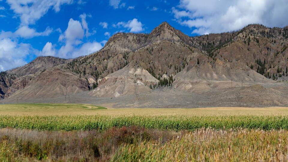 A mountain range with a clear sky and a field of crops in the foreground.