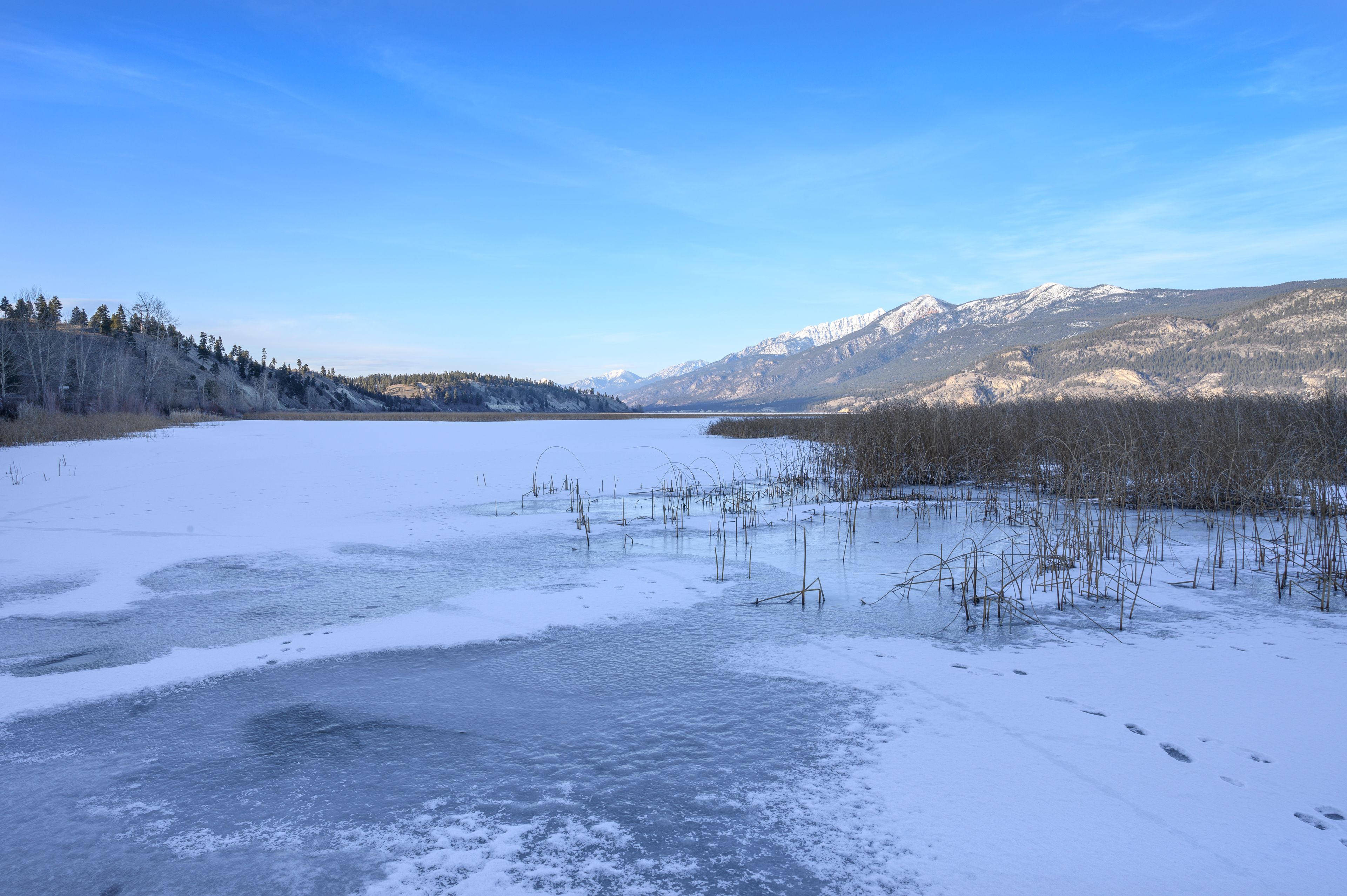 Winter view of Columbia Lake, headwater of the Columbia River, at Canal Flats, British Columbia, Canada