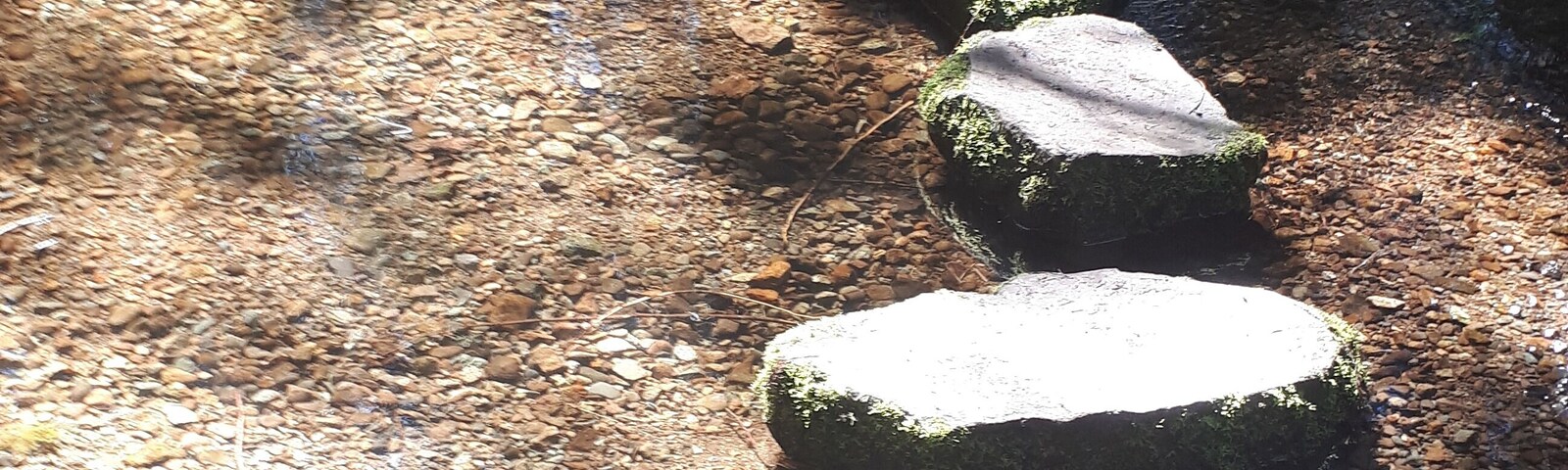 When it has rained hard....these stepping stones  can be slippery or under water, but so worth a visit. #mybackyard