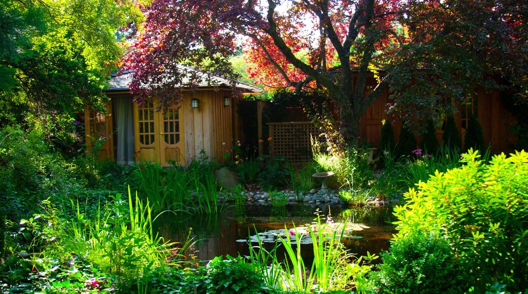 Galiano fasiliteter samt park og dag-spa