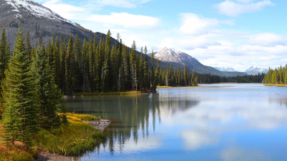 A calm lake surrounded by dense coniferous forest and snow-capped mountains.
