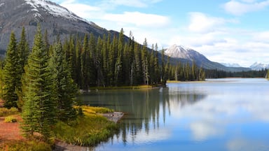 Panoramic view of Porcupine creek in Banff national park
