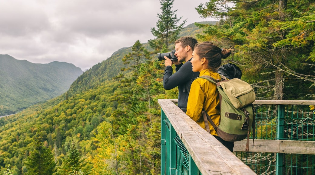 Travel couple hikers tourists taking photo with camera at view of mountain landscape in Autumn forest Parc de la Jacques Cartier, Quebec, Canada. Panorama banner background.