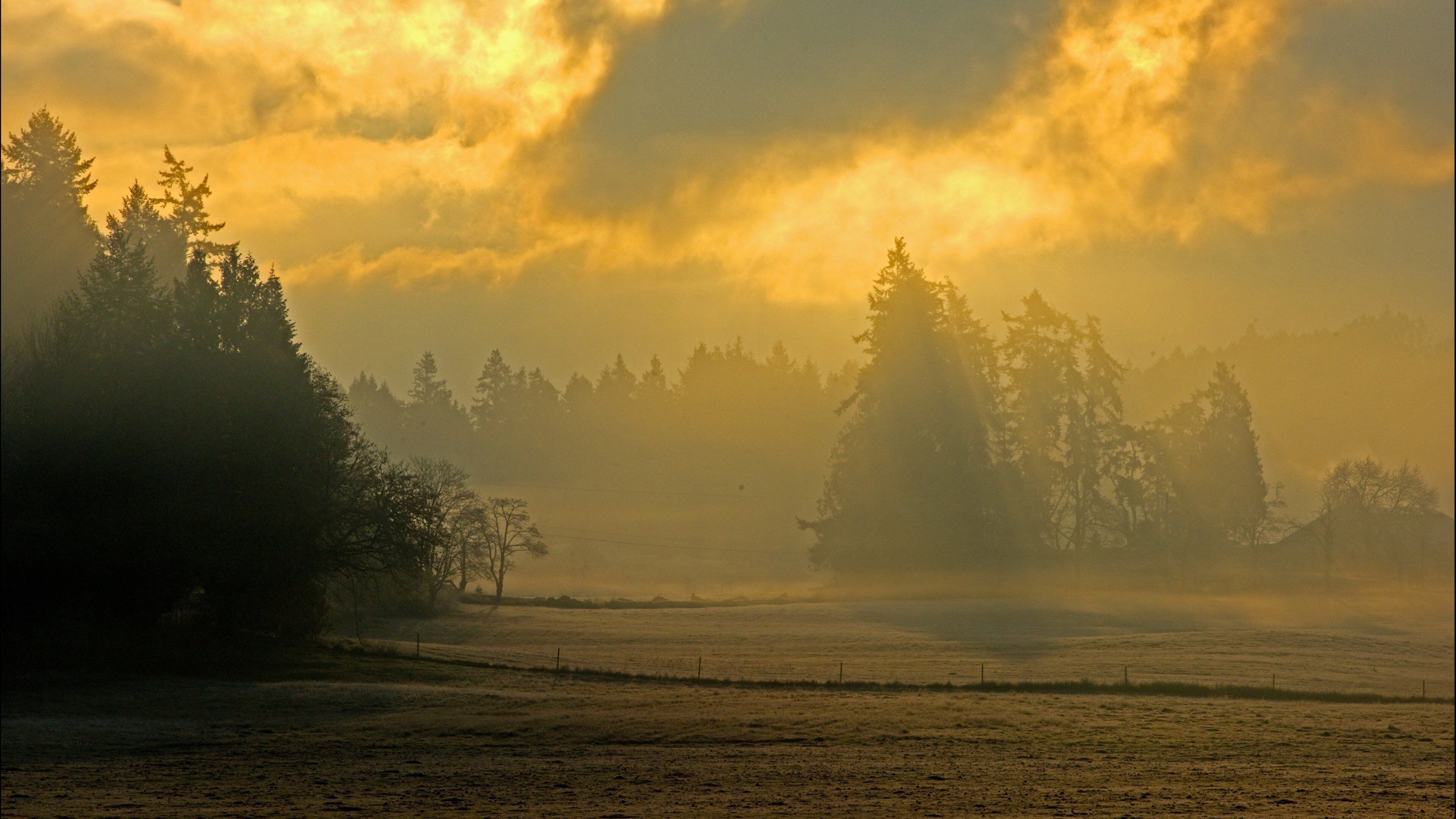 A misty landscape with dense forests and a field.