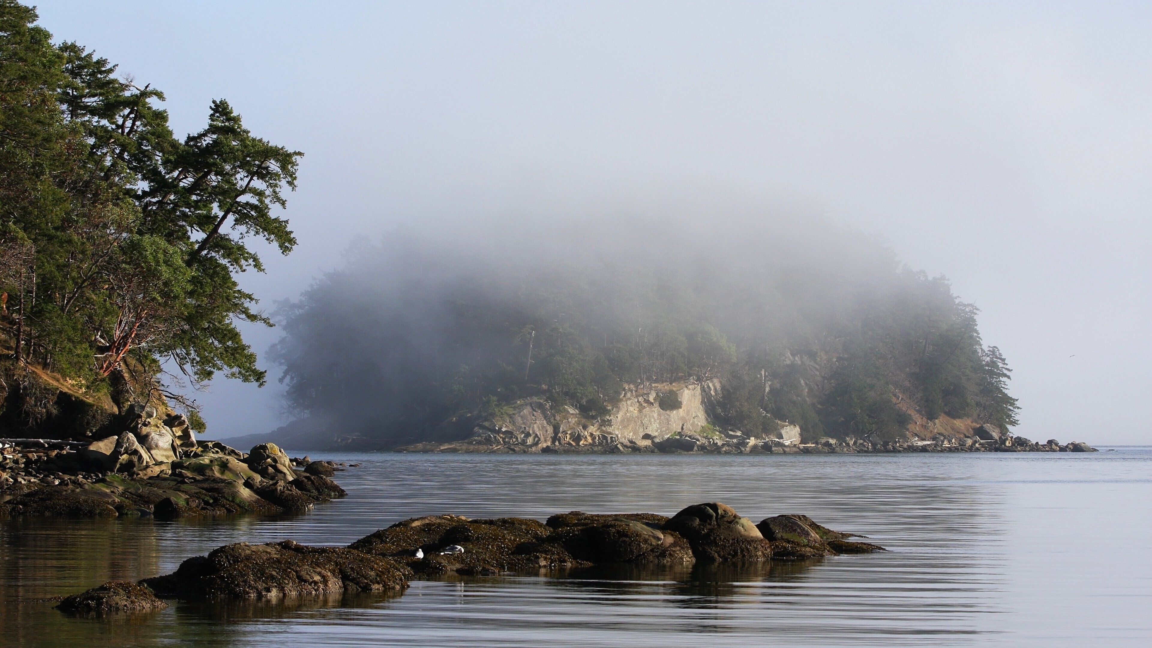 Mayne Island joka esittää usvaa tai sumua