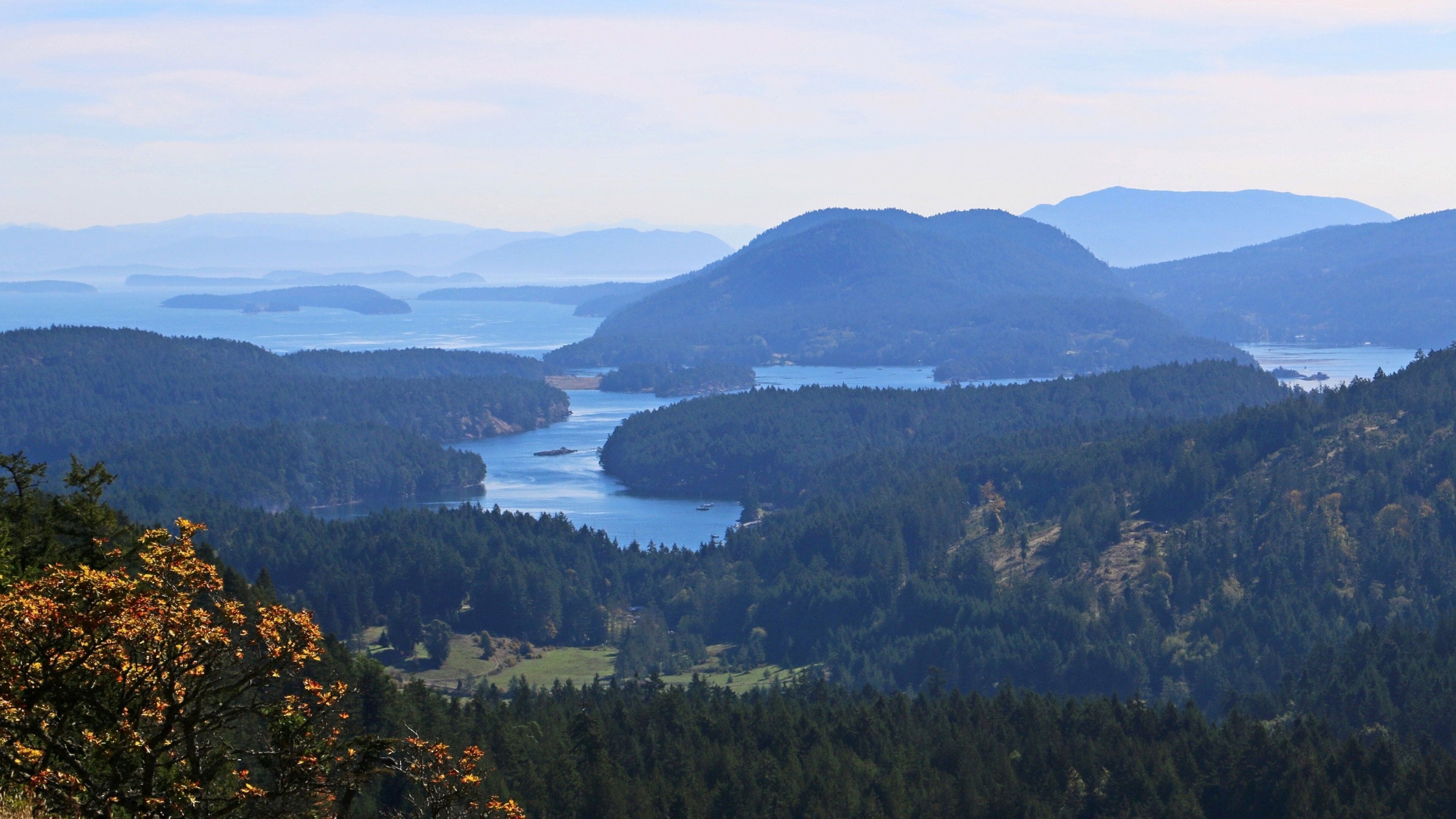 Mayne Island johon kuuluu metsänäkymät