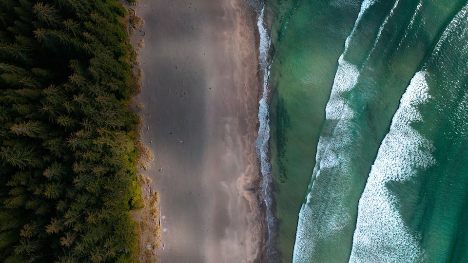A coastal landscape with a sandy beach, dense green forest, and ocean waves.