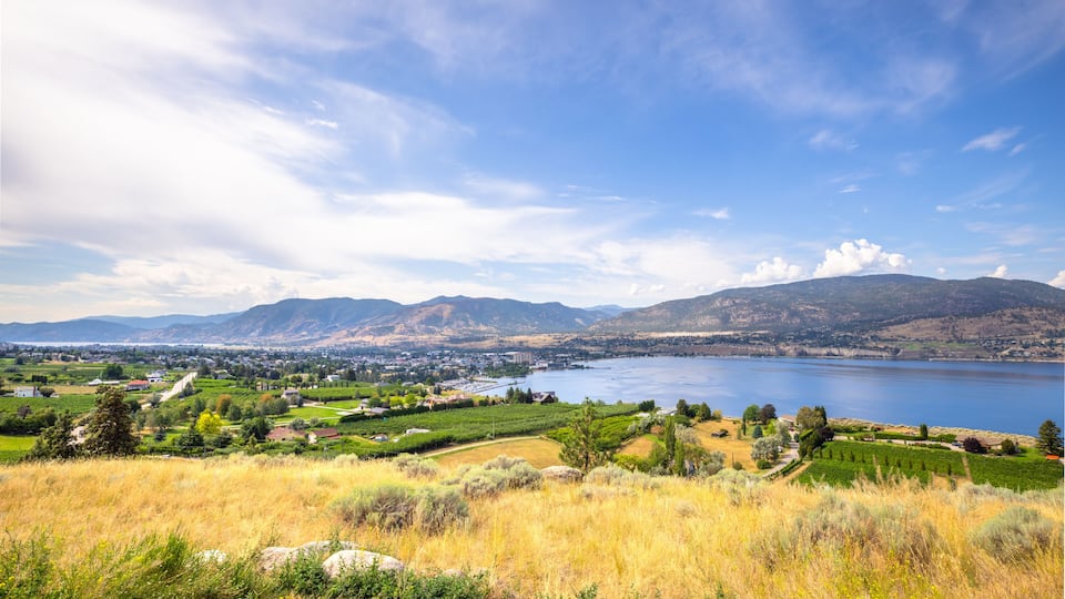 A lake surrounded by mountains, a town, and fields.