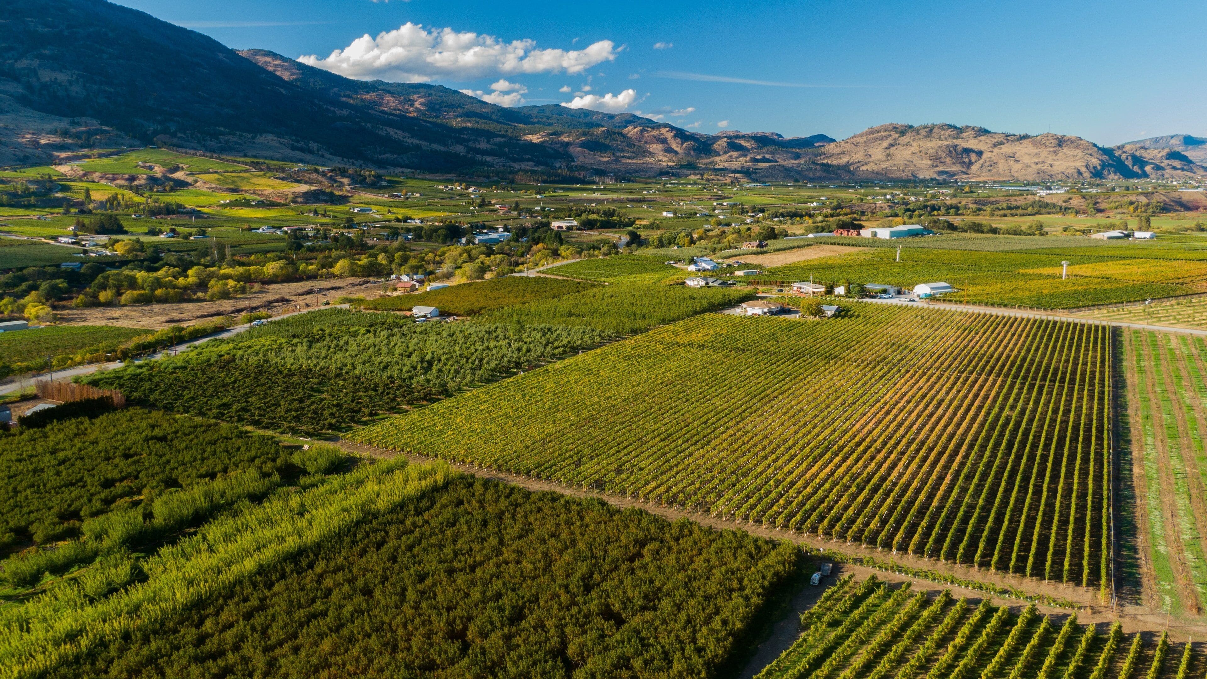 Oliver featuring landscape views, farmland and tranquil scenes