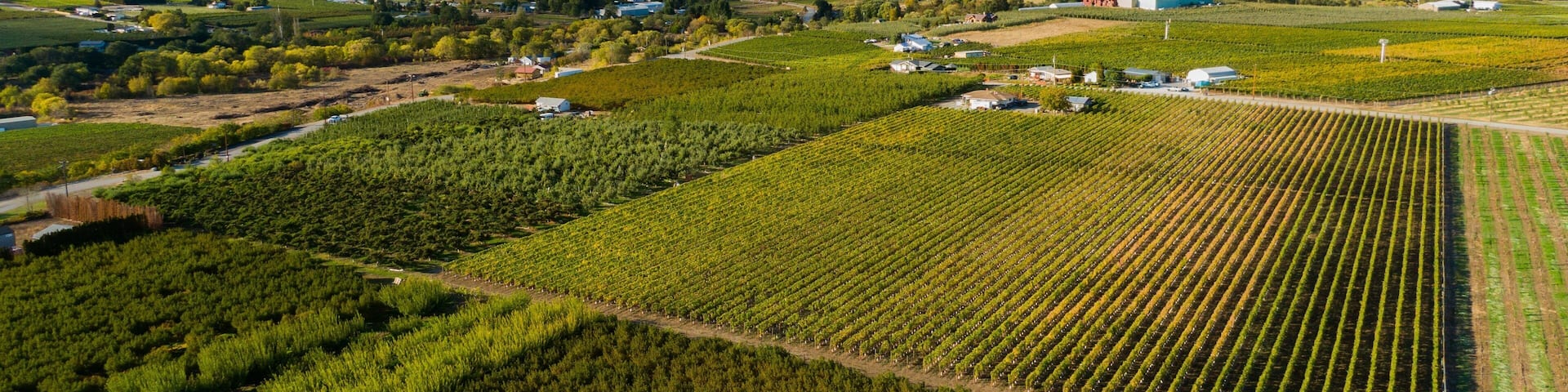 Oliver featuring landscape views, farmland and tranquil scenes