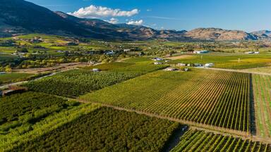 Oliver featuring landscape views, farmland and tranquil scenes