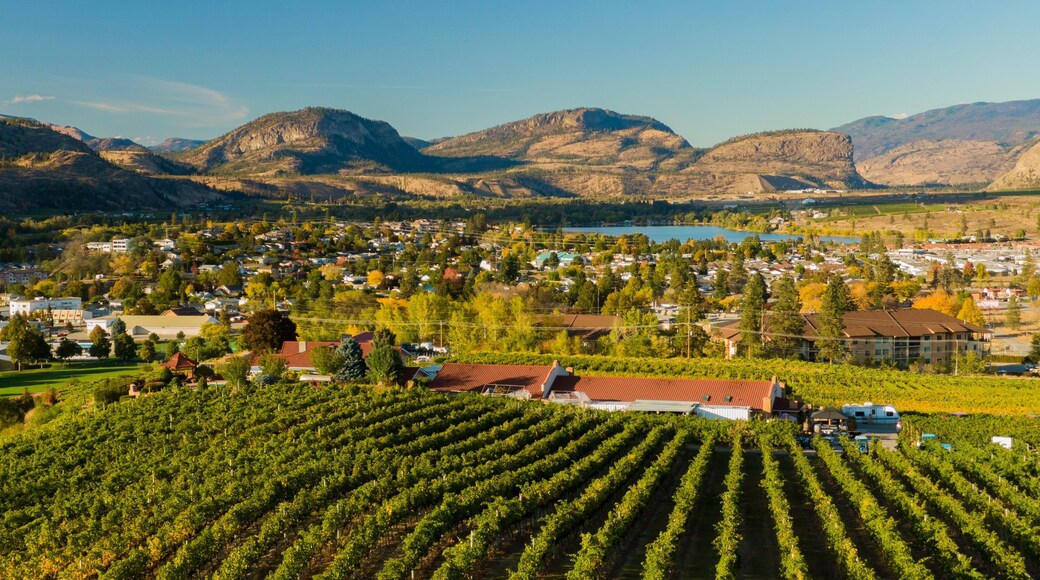 Oliver which includes a small town or village, farmland and landscape views