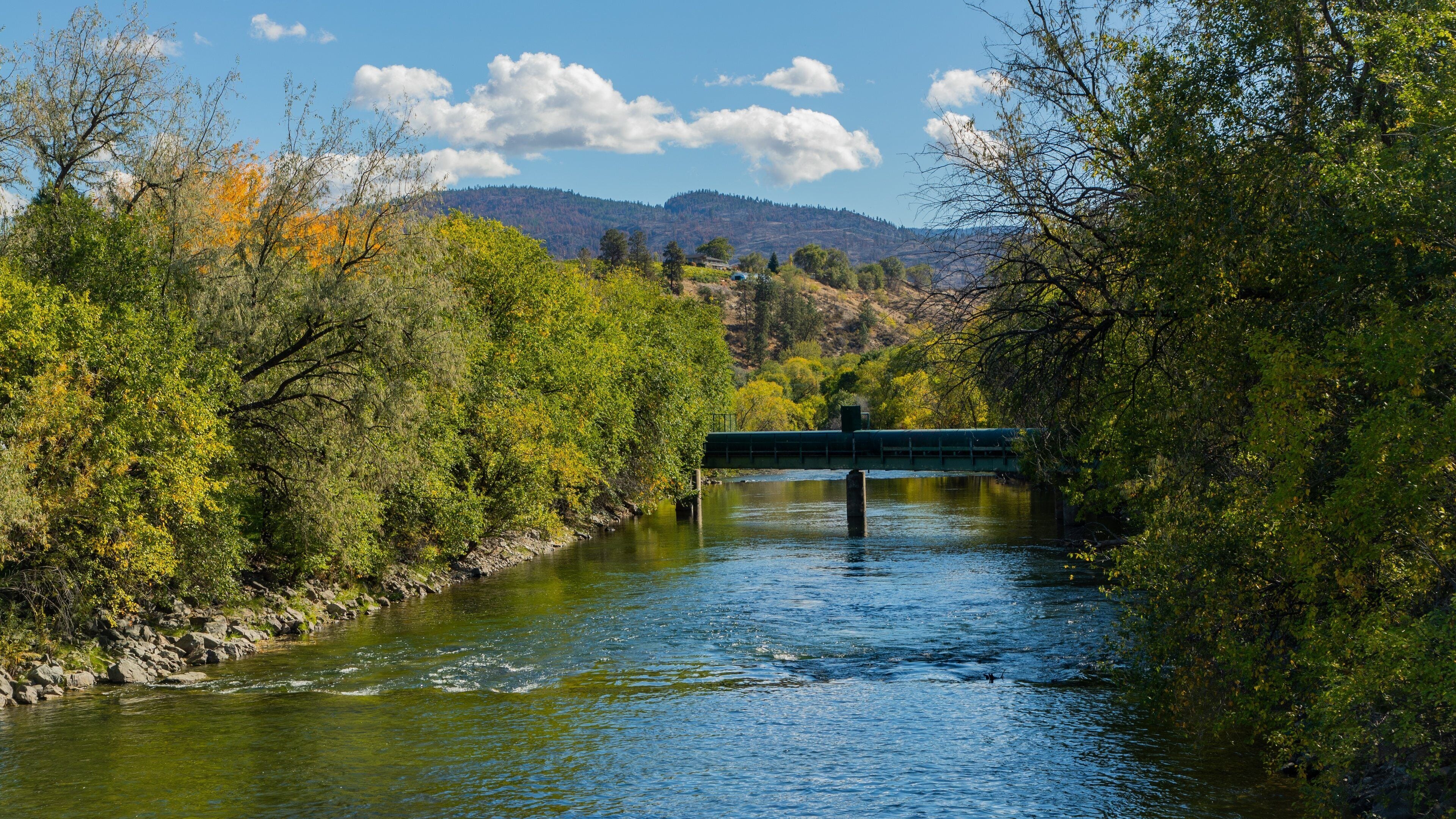 Oliver which includes a river or creek and a bridge