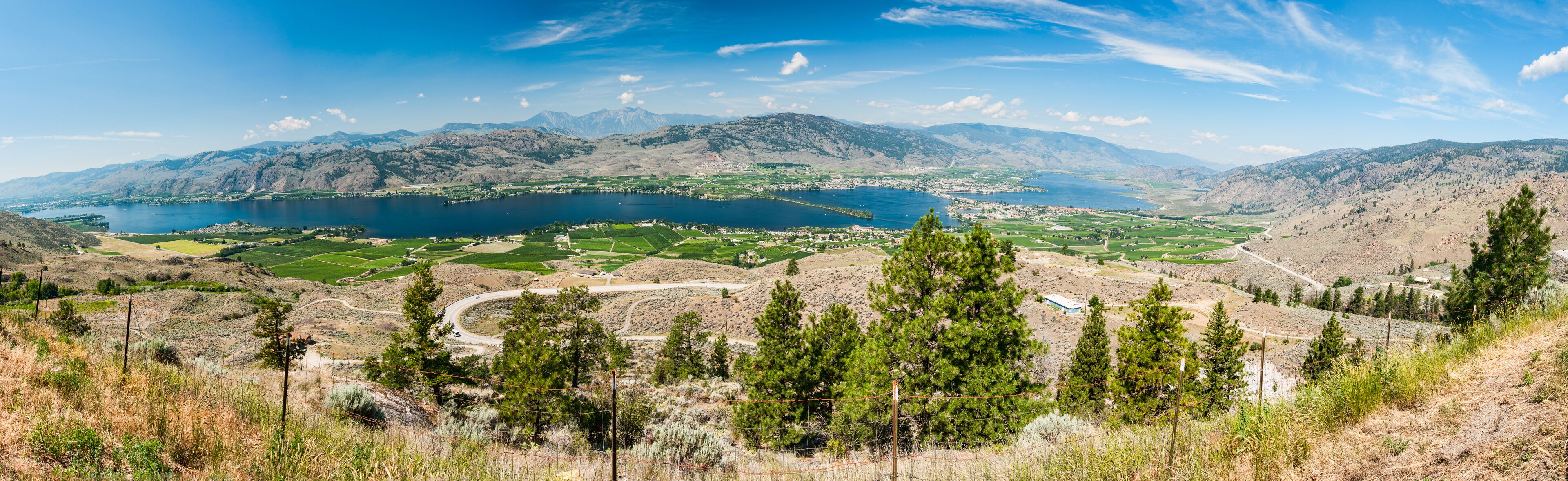 A mountainous landscape with a lake, green fields, and pine trees.