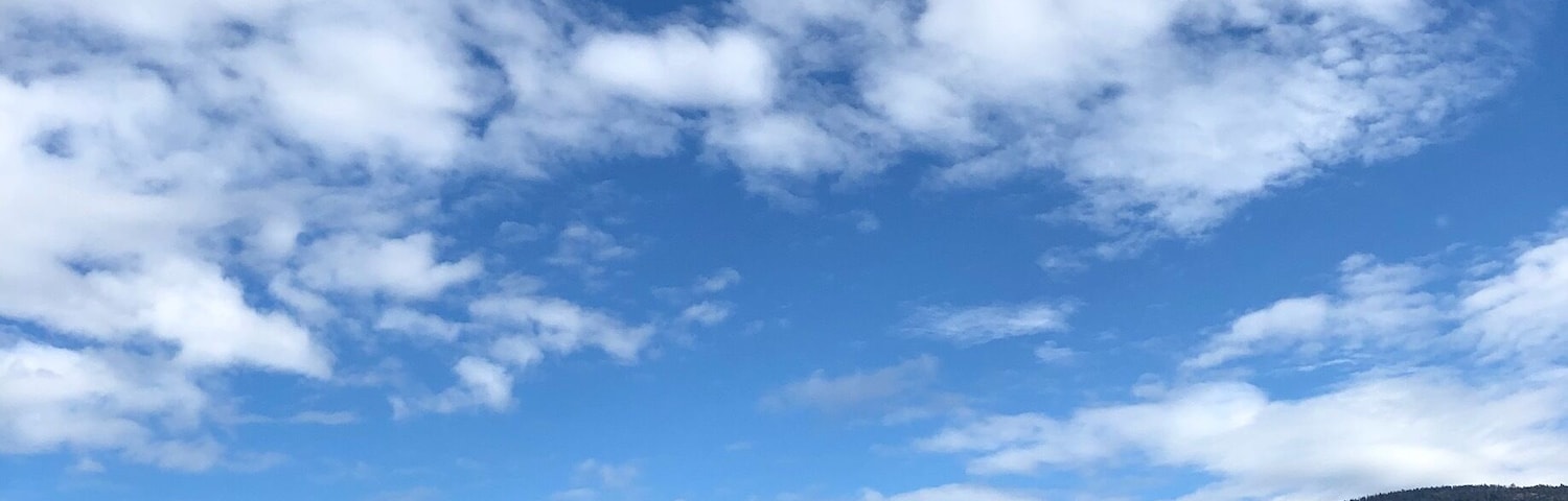 What a perfect day to race Dragon boat✅