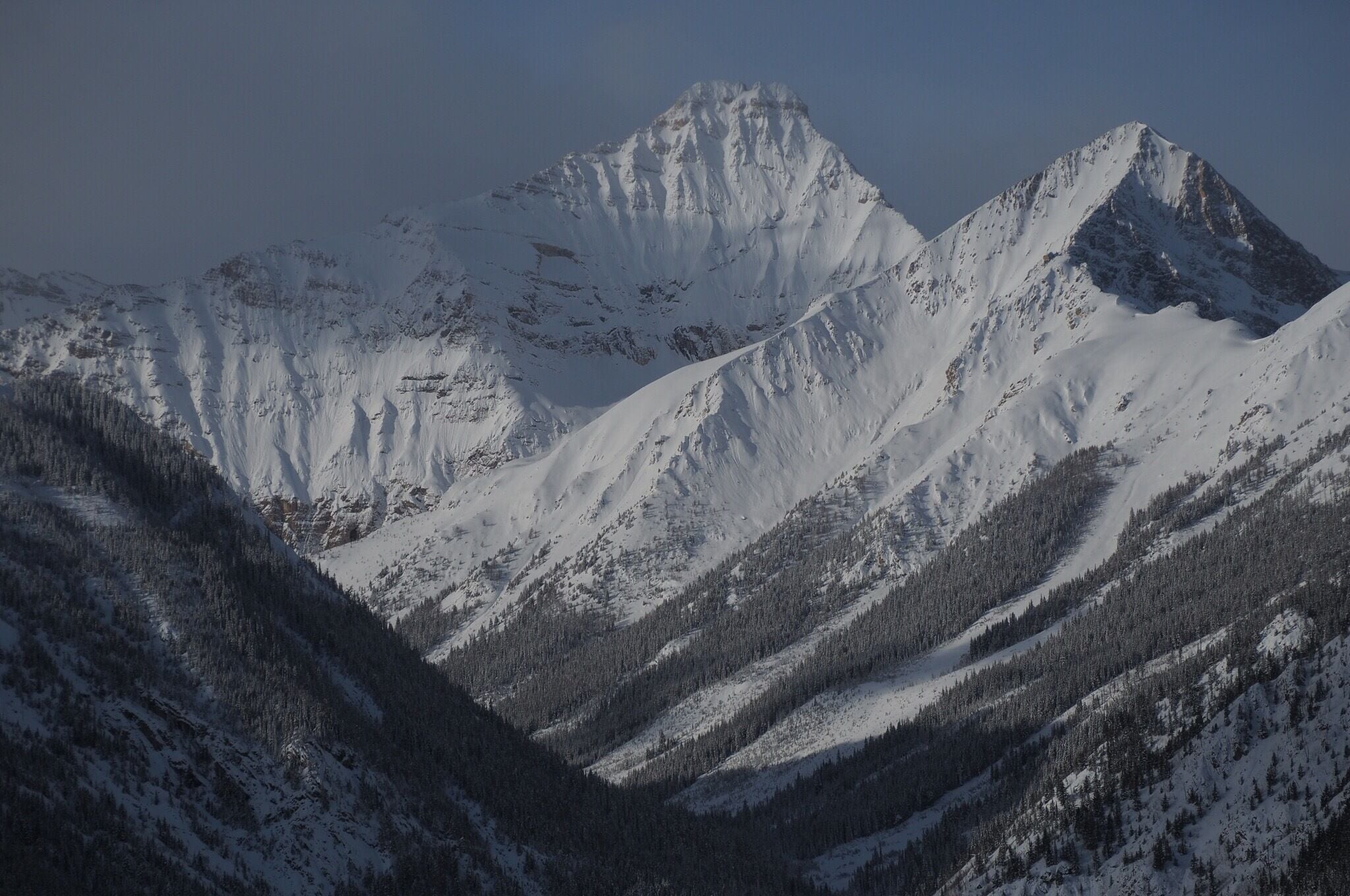 A snow-covered mountain range with sharp peaks and dense forests.