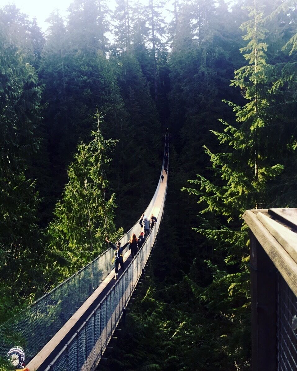 capilano+suspension+
bridge Vancouver
