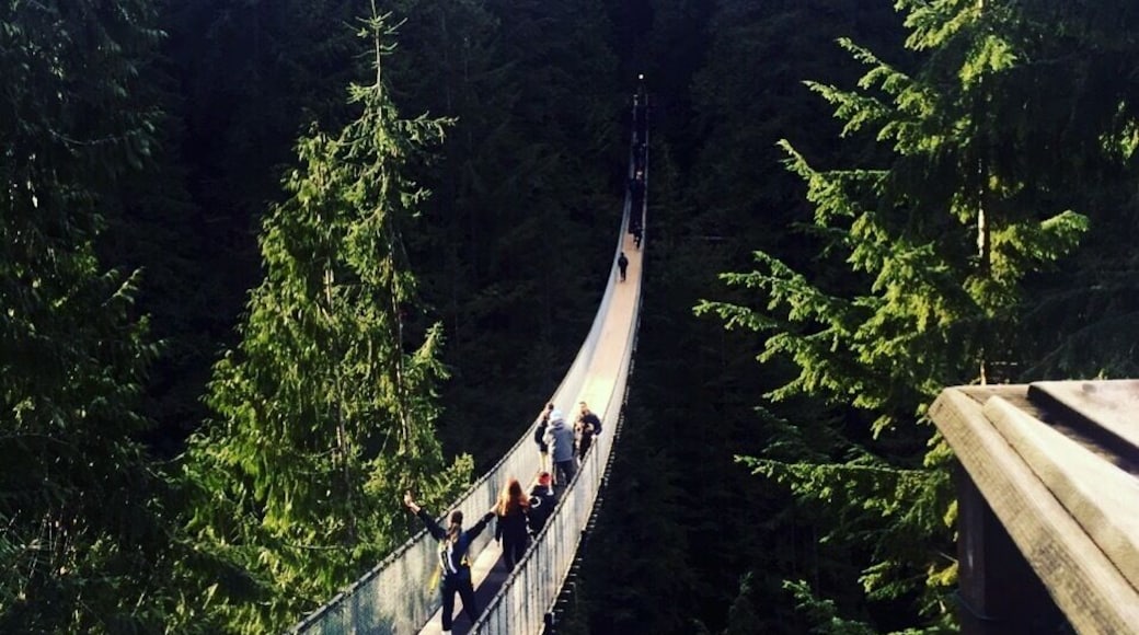 capilano+suspension+
bridge Vancouver