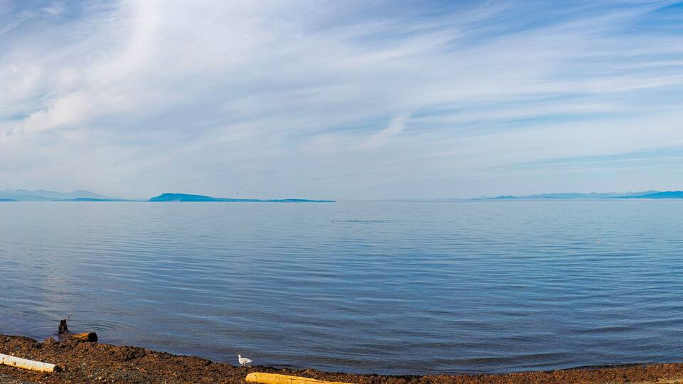 A calm lake with a person standing on the shore, mountains in the distance, and a clear sky.