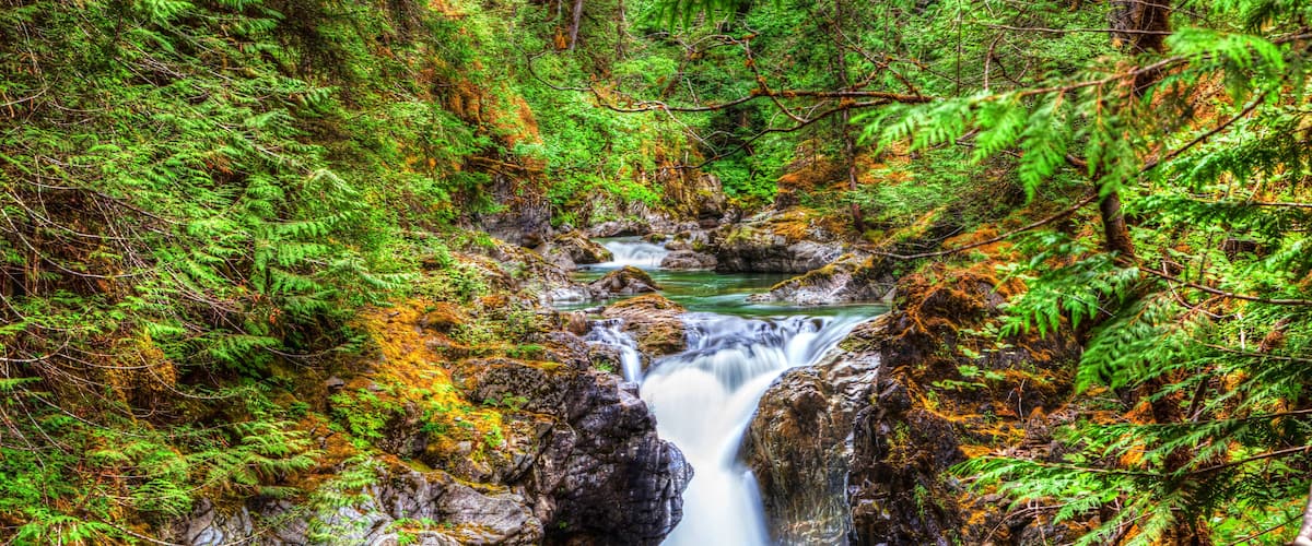 A forested area with a waterfall flowing through a rocky gorge.