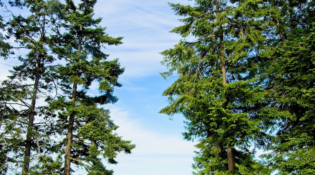Park with bench overlooking the ocean in Saanichton on Vancouver Island, BC, Canada