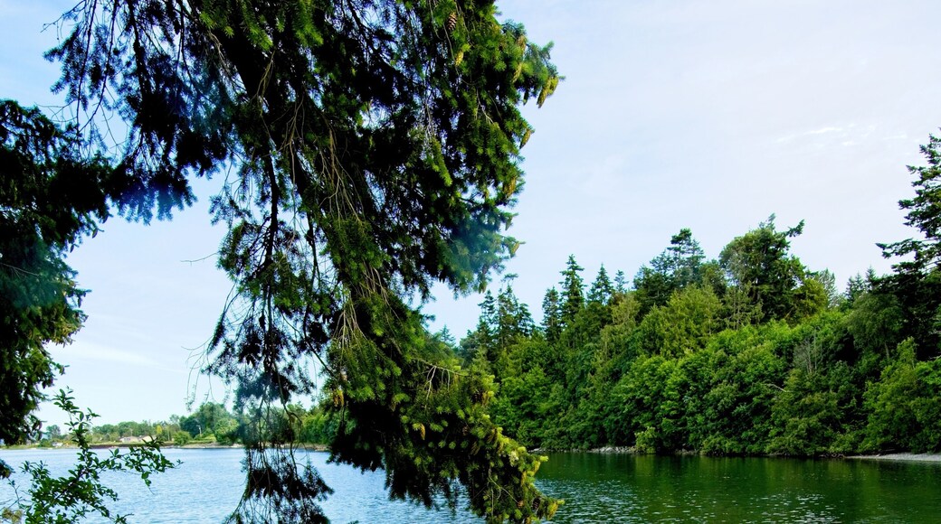 Staircase down the beach in the park overlooking the ocean in Saanichton on Vancouver Island, BC, Canada
