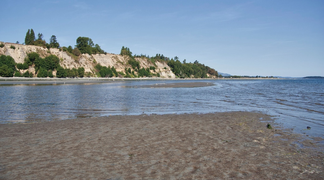 Natural Beach on Vancouver Island