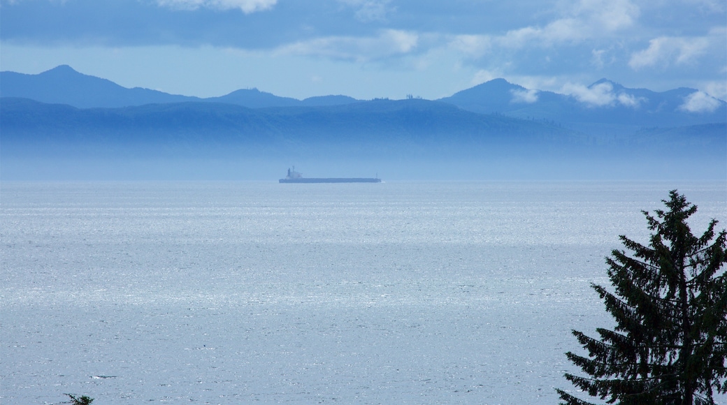Sooke featuring mist or fog and a lake or waterhole