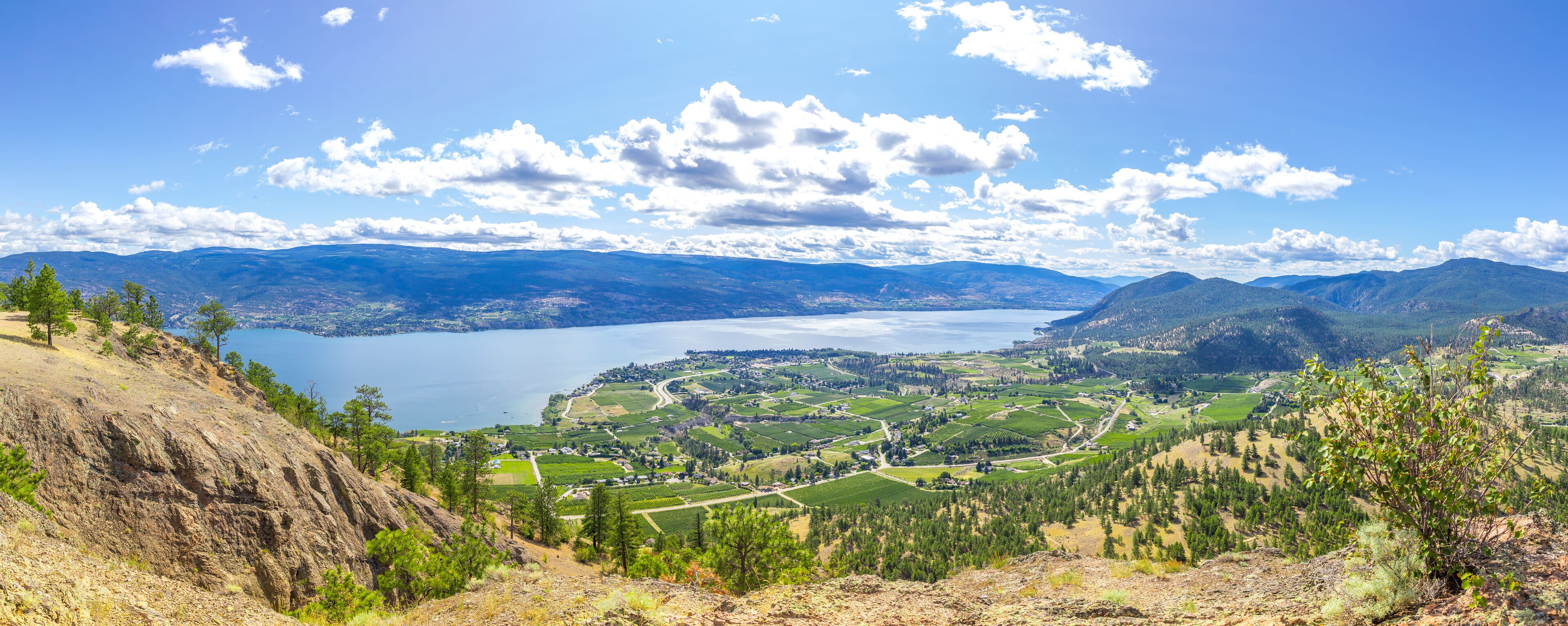 A mountainous landscape with a lake, green fields, and scattered trees.