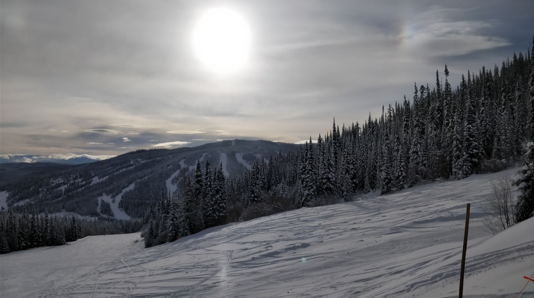 Top of Sundance chair at Sun Peaks resort. Great morning for first tracks.