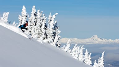 Sun Peaks showing snow skiing and snow