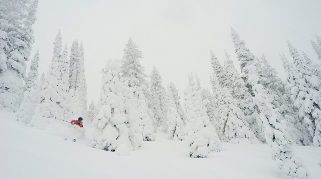 Sun Peaks mostrando nieve y esquiar en la nieve