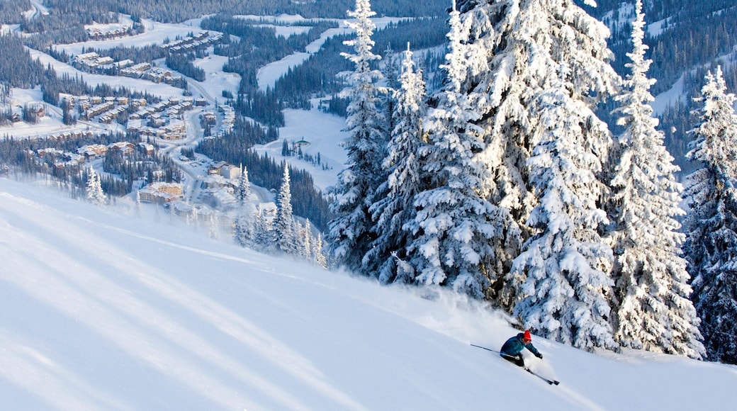 Sun Peaks which includes snow skiing, snow and a small town or village