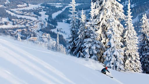 Sun Peaks featuring snow, a small town or village and snow skiing