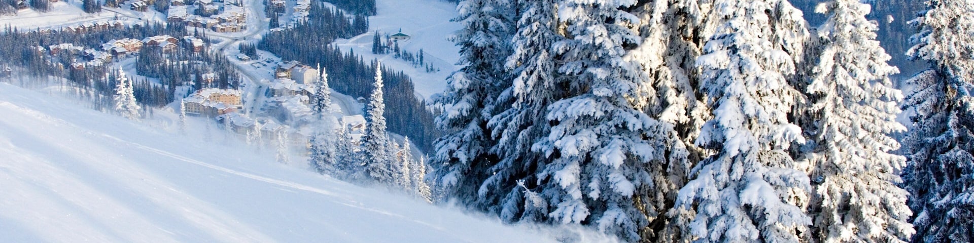 A skier descending a snow-covered slope with a backdrop of a winter village and snow-laden trees.