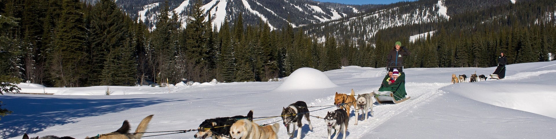 Sun Peaks caratteristiche di cani da slitta, animali e neve