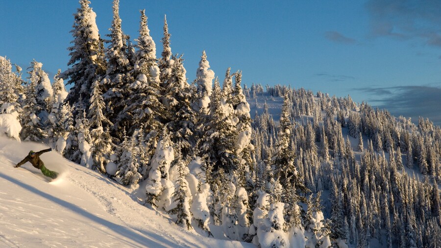 Sun Peaks showing snow skiing, snow and mountains