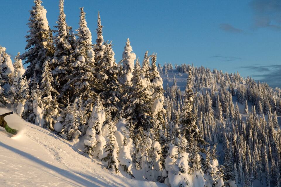 Un snowboarder en una pendiente nevada, con árboles cubiertos de nieve y un cielo azul despejado.