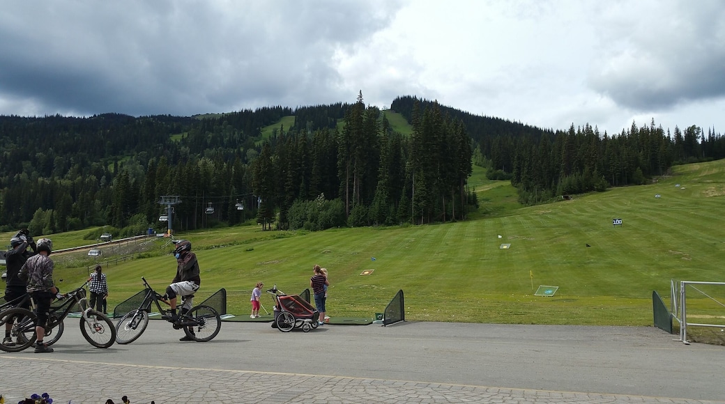 The same slopes that you can ski turns into golf range in summer!