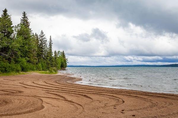 A sandy beach with tire tracks, a forest, and a cloudy sky.