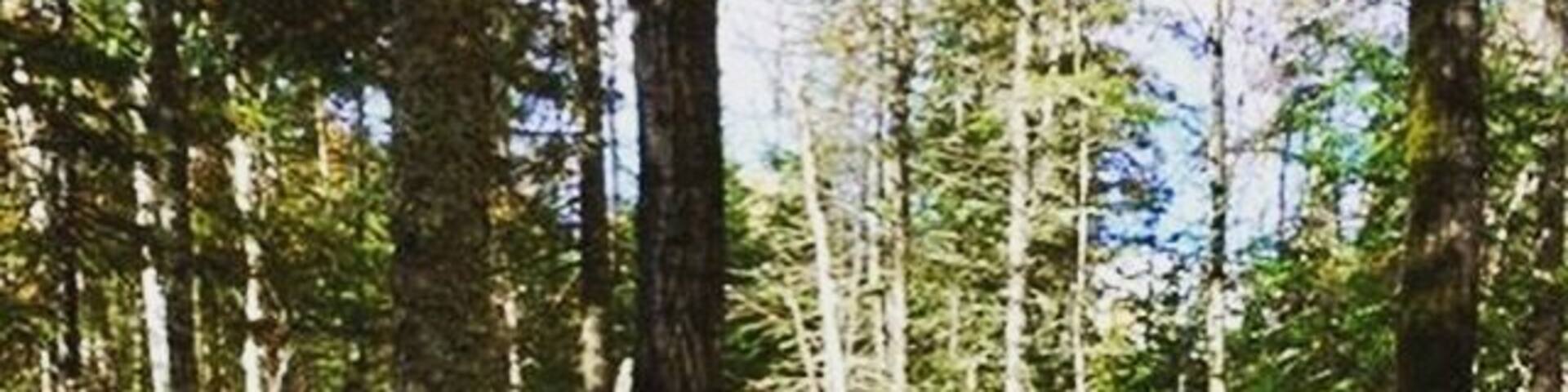 Awesome maze of trails !